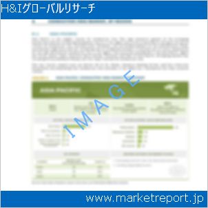 市場と産業調査レポートのイメージ